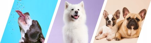 2Dog Mini Kiełbaski WOŁOWINA 160g