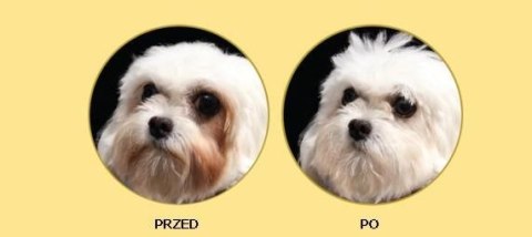 Nature's Protection Superior Care White Dogs Adult Small Breeds With Lamb 10kg