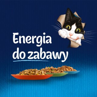 Felix Duo Wiejskie Smaki W Galaretce Z Mięsem 12x85g