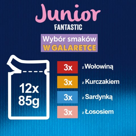 Felix Fantastic Junior W Galaretce 12x85g