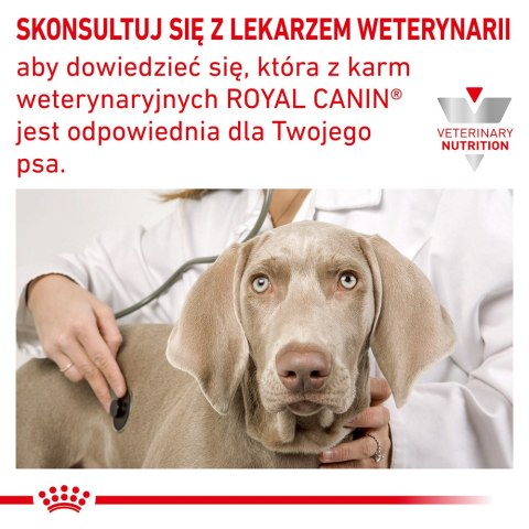 ROYAL CANIN Anallergenic 8kg