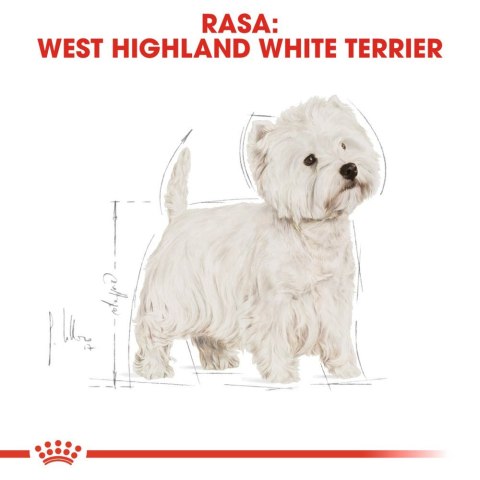 ROYAL CANIN West Highland White Terrier Adult 3kg