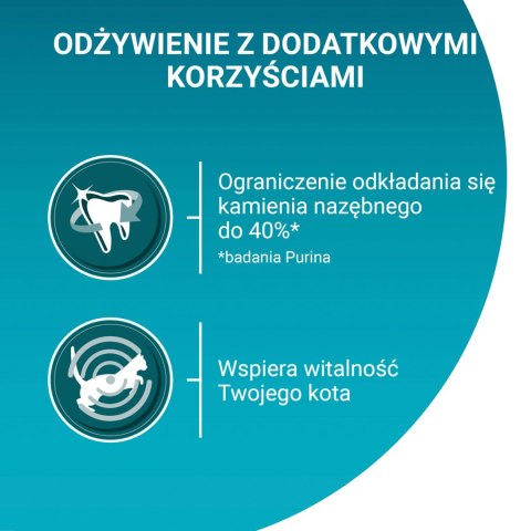 Purina One Cat Adult Karma Z Łososiem Dla Kota 800g