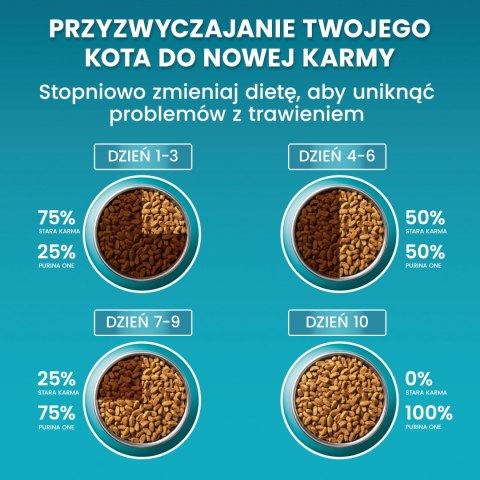 Purina One Cat Sterilcat Karma Z Łososiem Dla Kota 800g