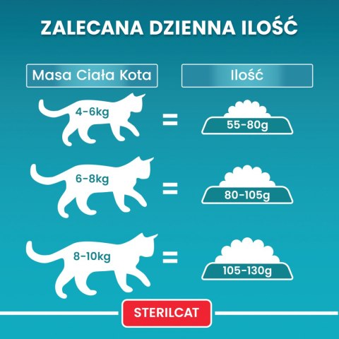 Purina One Cat Sterilcat Karma Z Wołowiną Dla Kota 800g