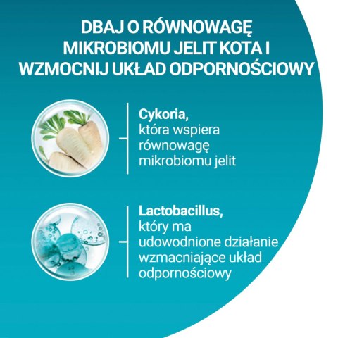 Purina One Junior Karma Z Kurczakiem Dla Kociąt 800g