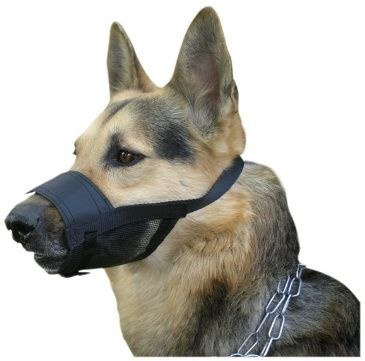 Dingo Kaganiec Weterynaryjny Nylonowy Dla Psa Rozmiar 4 22-30cm