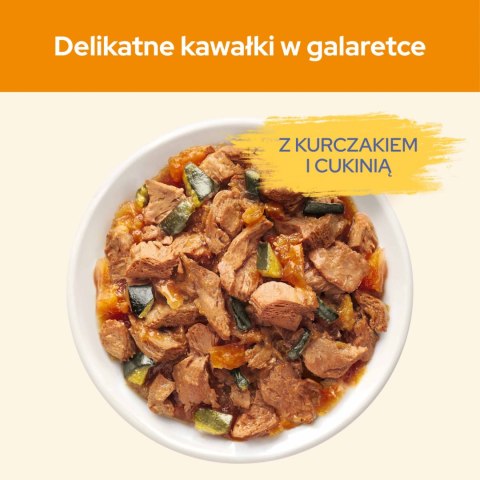 PURINA Cat Chow Adult Kurczak i cukinia Multipack 10x85g