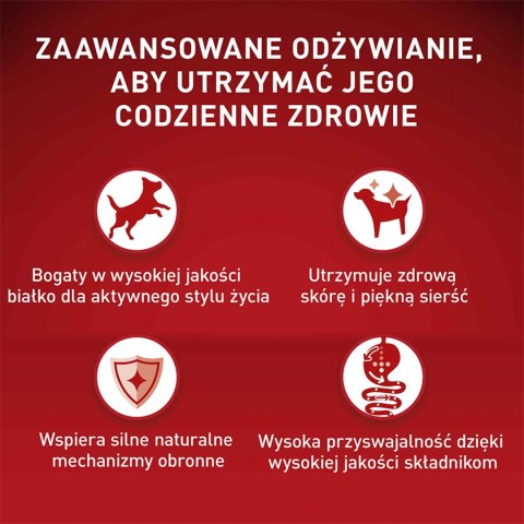 PURINA ONE Mini Delicate Łosoś, ryż - sucha karma dla psa - 800 g