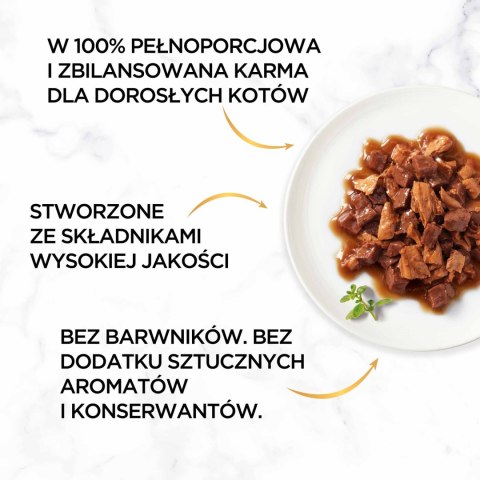 Purina Gourmet Gold kaczka/indyk w sosie 85g