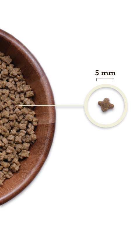 Acana Kitten Karma Dla Kota 1.8kg