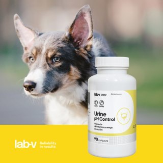 Lab-v Urine Ph Control Wsparcie Dla Psów I Kotów Przy Kamicy Struwitowej 90 Kapsułek