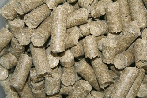 KERBL Delizia Smakołyki Malina 1kg