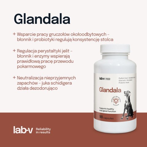 Lab-v Glandala Wsparcie Gruczołów Okołoodbytowych i Przewodu Pokarmowego 90 Kapsułek