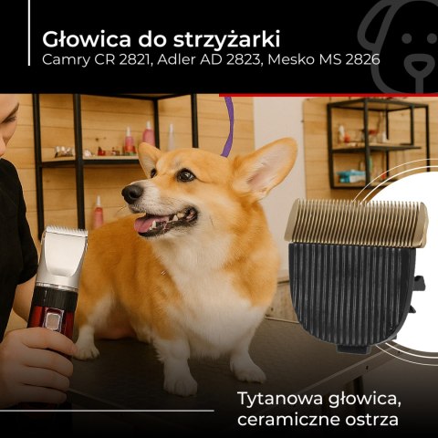 Głowica CR 2821.1 CAMRY