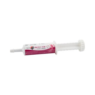 JM SANTE Vet Protector Gastro Maślan pasta dla psów i kotów 60 ml