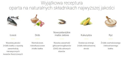 Josera Festival Karma Dla Dorosłych Psów Średnich I Dużych Ras 12,5kg