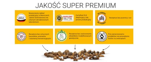 Josera Festival Karma Dla Dorosłych Psów Średnich I Dużych Ras 12,5kg