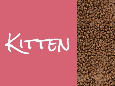 Josera Josicat Kitten Karma Sucha Dla Kociąt 10kg