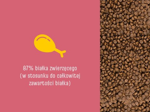 Josera Josicat Kitten Karma Sucha Dla Kociąt 10kg