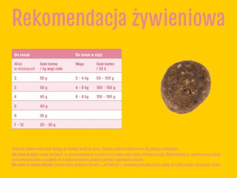 Josera Josicat Kitten Karma Sucha Dla Kociąt 10kg