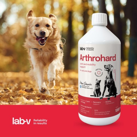 LAB-V Arthrohard Preparat Na Wsparcie Stawów Dla Psa I Kota 1000 Ml