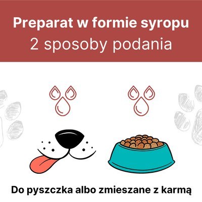 LAB-V Arthrohard Preparat Na Wsparcie Stawów Dla Psa I Kota 1000 Ml