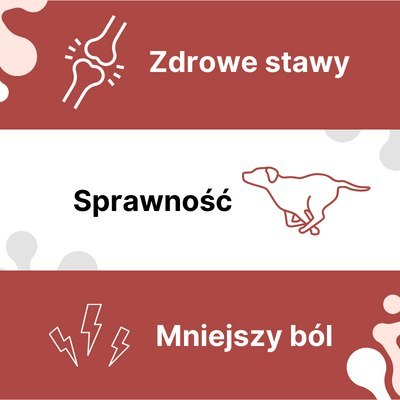 LAB-V Arthrohard Preparat Na Wsparcie Stawów Dla Psa I Kota 1000 Ml