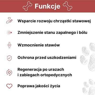 LAB-V Arthrohard Preparat Na Wsparcie Stawów Dla Psa I Kota 1000 Ml