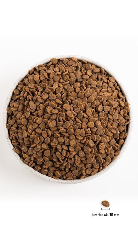 ORIJEN Original Cat 1,8kg