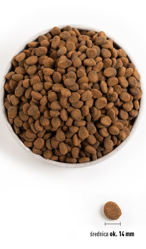 ORIJEN Regional Red Dog 2kg