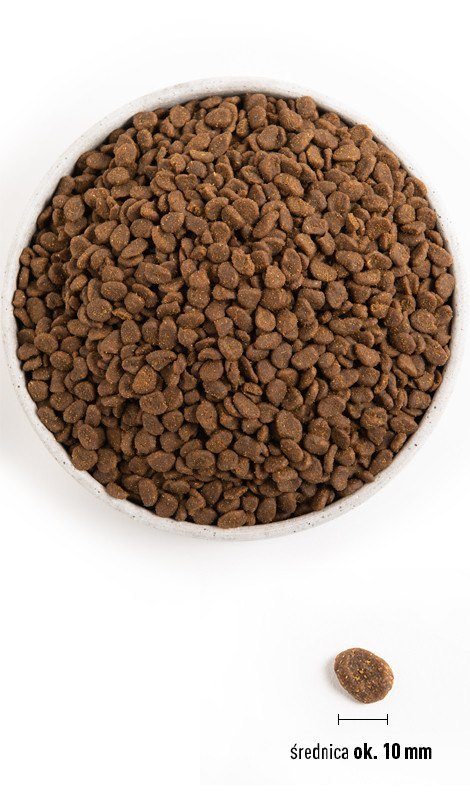 ORIJEN Six Fish Cat 340g
