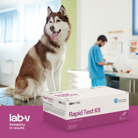 Lab-v Ehrlichia/Anaplasma/Babeis gibsoni Ab u Psów Szybki Test