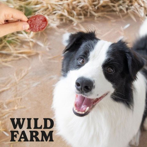 WILD FARM Chipsy Z Jagnięciny Przysmak Dla Psa 500G