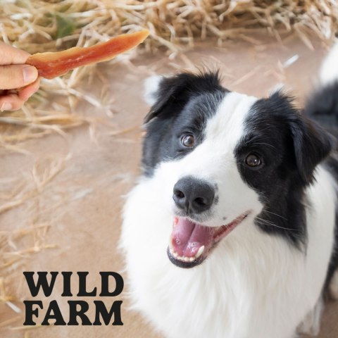 WILD FARM Miękka Pierś Z Kaczki Przysmak Dla Psa 500G