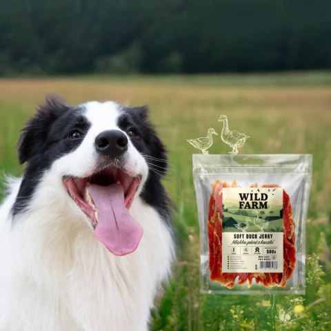 WILD FARM Miękka Pierś Z Kaczki Przysmak Dla Psa 500G