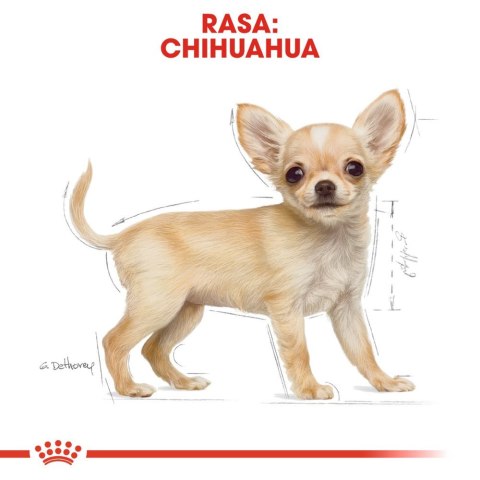 ROYAL CANIN Chihuahua Puppy 500g