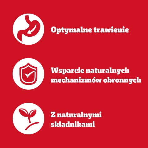 Pedigree Mokra Karma Dla Dorosłych Psów W Galaretce Mix Smaków (Z Wołowiną, Z Kurczakiem, Z Jagnięciną, Z Drobiem) 40x100g