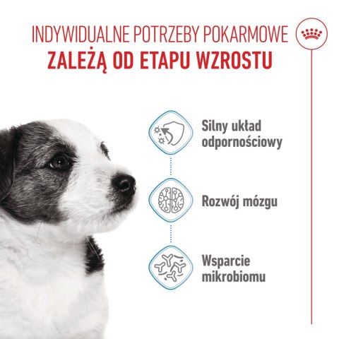 ROYAL CANIN Mini Puppy 800g