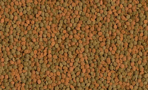 Tetra Wafer Mix 100ml