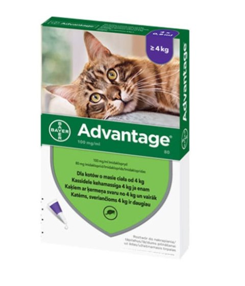 Bayer Advantage Roztwór Do Nakrapiania Dla Kotów 4x0,8ml