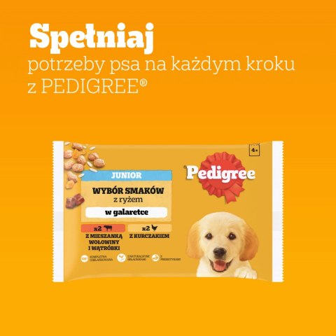 Pedigree Mokra Karma Dla Szczeniąt W Galaretce (Z Kurczakiem I Ryżem, Z Wołowiną I Ryżem) 4x100g