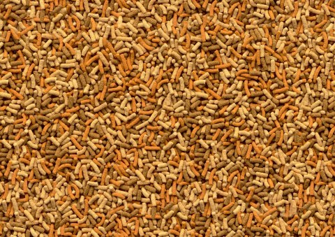 Tetra Pond Variety Sticks 7l