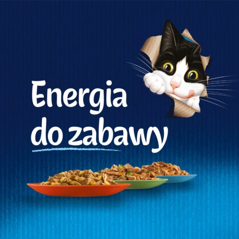 Felix Fantastic Rybne Smaki W Galaretce 12x85g