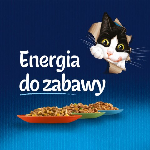 Felix Fantastic Wołowina W Galaretce 85g