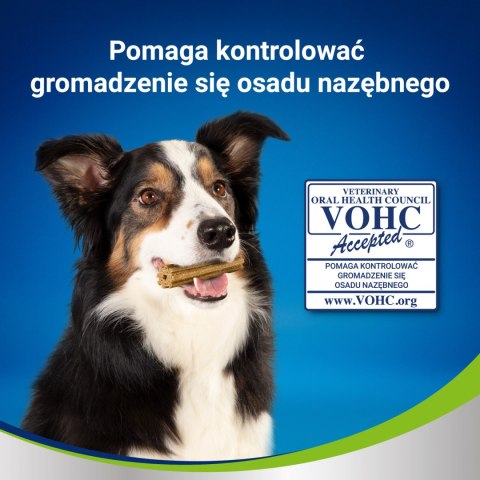 PURINA Dentalife Large 142g