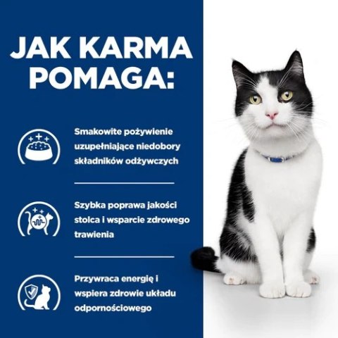 Hill's PD Prescription Diet Feline i/d Z Łososiem 85g