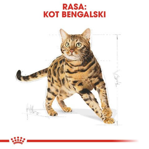 ROYAL CANIN Bengal Adult 10kg