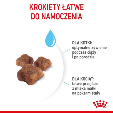 ROYAL CANIN Mother & Baby Cat 400g