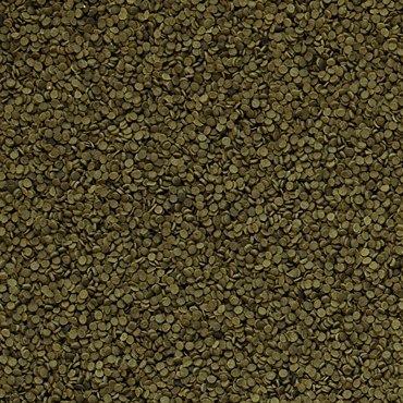 Tropical Spirulina Granulat 100ml